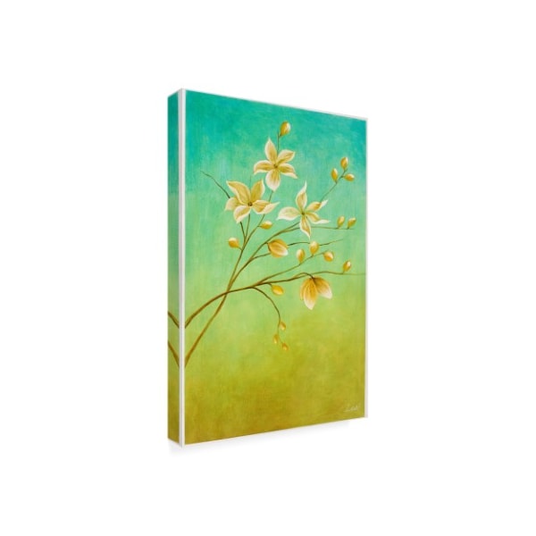 Pablo Esteban 'White Flower Branch 2' Canvas Art,22x32